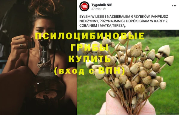 герыч Алексеевка